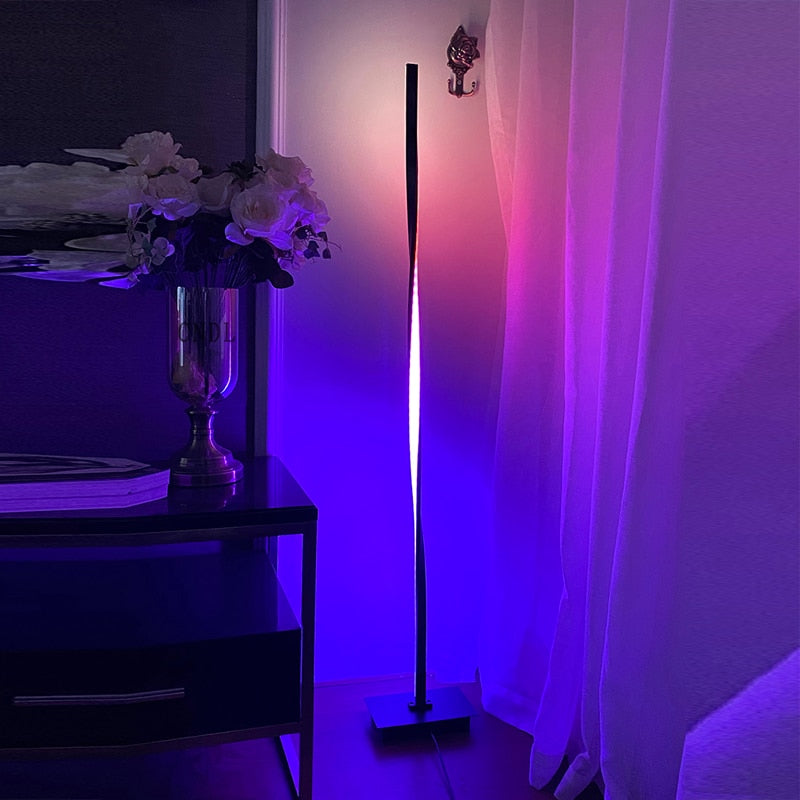 Nordic RGB Floor Lamp Art Design Black Silver Body Floor Lamp Night Stand Lamp for Bedroom Led Lighting Living Room Deocoration